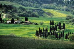 Tour of Chianti Valley